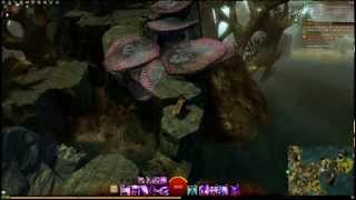 GW2 Diving Locations, Pt 5   Ruins of Orr