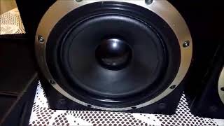 Bocinas SONY SS D305, SS D502 AV