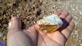 مستحاثة عظم متحجرfossil oued zem maroc