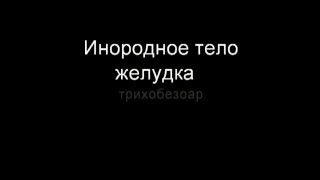 Инородное тело желудка. Трихобезоар у собаки