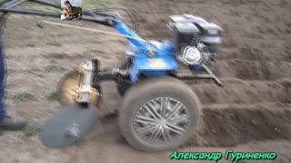 Первая посадка картошки мотоблоком Кентавр под диски без лопаты