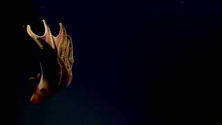 Dumbo Octopus - 2013 | Nautilus Live (Remastered!)