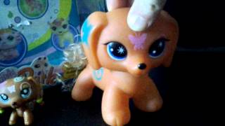 FAKE LPS!!