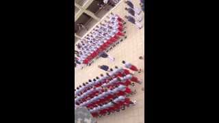 Rat mass 2014+3 matriculation