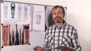 9. Кривые и прямые ноги