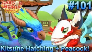 Kitsune Hatching + Peacock Breeding! - Dragon Mania Legends #101