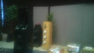 FM ACOUSTICS FM255MKⅡR FM711MKⅢ WILSON ALEX  ⑦