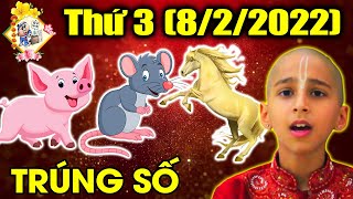 Tu Vi Hang Ngay, 3 Con Giáp Có Duyên Biết Mệnh, Qua Mọi Tai Ương Đến Thời Sung Sướng.