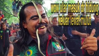 Atraksi Ular masuk ke hidung|| makan paku|| mr Unyil murid master limbad|| Mayangkoro original