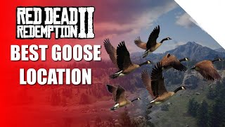 Red Dead Redemption 2 Online Skin 2 Goose Location- Daily Challenge