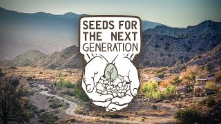 Quail Springs Permaculture: Seeds for the Next Generation