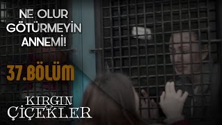 Kırgın Çiçekler 37.Bölüm - Meral, Annesinden Kopamıyor !