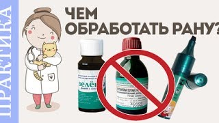 Обработка ран у животных