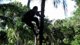 Jamaica My Way Documentary Promo