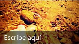 barbito en la grabera
