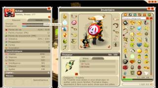 Dofus Sadi 177 Pvp Grade 10 Actae Djaul