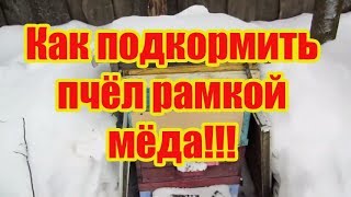 ???КОРМИТЬ ИЛИ НЕ КОРМИТЬ ПЧЁЛ ВЕСНОЙ ПОЛОЖИВ РАМКУ СВЕРХУ