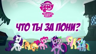 ЧТО ТЫ ЗА ПОНИ? (пони-викторина / читать описание)