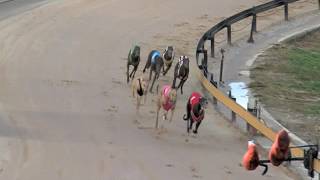 BATHURST-18072016-RACE-4