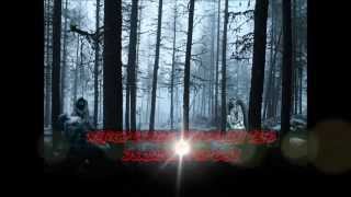 Crysalys Lilium Lyric Video