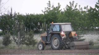 Przygotowanie do dożynek