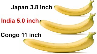 Top countries with largest pen¡s sizes & smallest penis sizes | size comparison