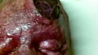special effects make-up air test