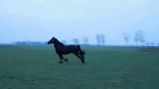 Фриз Айсе видео (2) С