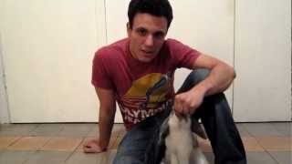 Bini the Bunny Does Tricks - ביני הארנב