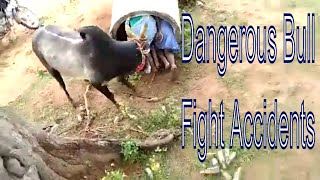 JALLIKATTU STUNTS TROLL PART 2 - TODAY TRENDING