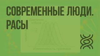 Современные люди. Расы. Видеоурок по биологии 11 класс