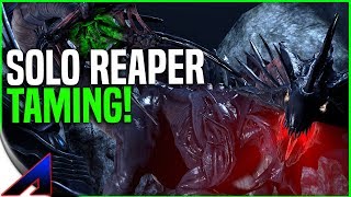 Solo Reaper Taming and Surface! - New Official Small Tribe PvP Servers | Ark Survival Evolved | Ep19