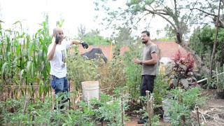Huerto El Colibrí. Radio Tomate. Horticultor que además promueve la sociología, Rodrigo Ibarra.