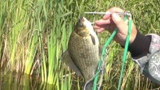 Ловля карася на мормышку весной  Catching carp fishing tackle for spring