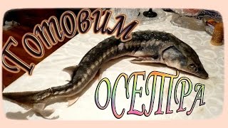 ГОТОВИМ ОСЁТРА в ДУХОВКЕ с инжиром и гранатом 