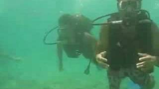 Diving Azeri
