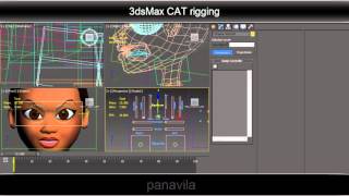 CAT rig