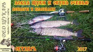 Ловля щуки и окуня в октябре 2017