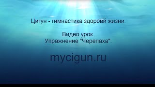 Видео урок. Упражнение черепаха. Оздоровительный Цигун. Если болит спина