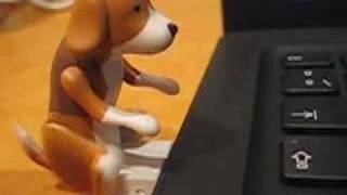 Humping dog