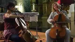 "serduszko" - tara fuki