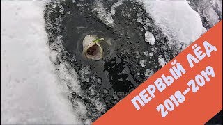Первый лёд. Подводная съёмка. Зимняя рыбалка