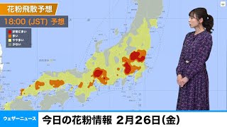 今日の花粉情報 2月26日（金）