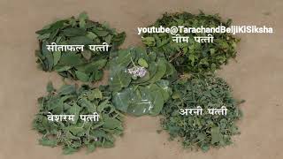 पाँच पत्ती काढ़ा | जैविक कीटनाशक | Paanch Patti Ras | Jevik Keetnashak