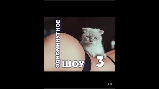 Заячий Стон - Одноминутное Шоу 3