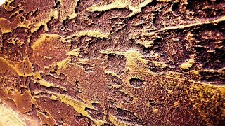 ДЕКОРАТИВНЫЙ  КАМЕНЬ ИЗ ПЛИТОЧНОГО КЛЕЯ .Как сделать Своими  Руками