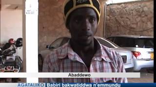 Eyasiba enviiri z'abalaasi akwatiddwa