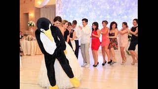 PENGUINE DANCE ALBANIA