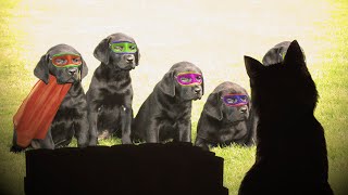 МОГУЧИЕ ПСЫ