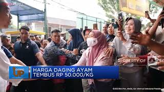 Jokowi Kaget! Harga Daging Ayam Menggila